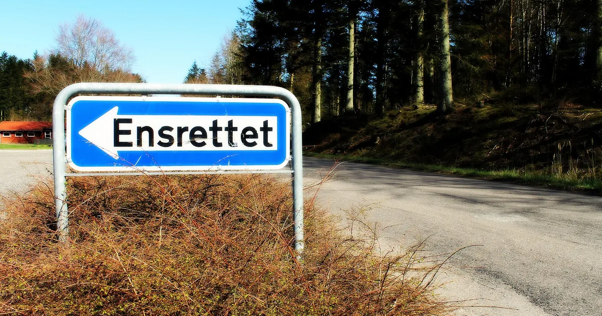 Dansk trafikkskilt med teksten «Ensrettet» og en pil, ved en skogsvei